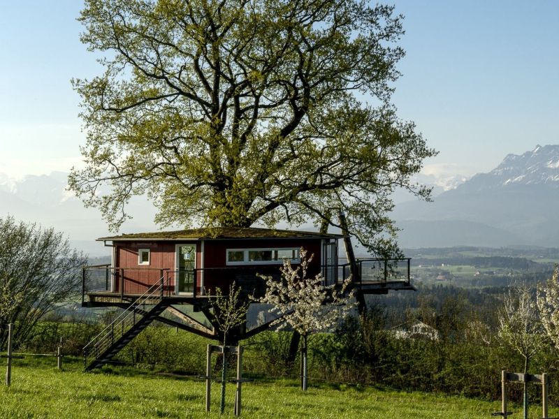 Hochstamm-Genuss-Baumhaus-im-Frühling.jpg